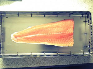 lachs selber beizen