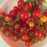 Tomaten-Focaccia