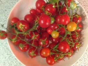 Tomaten-Focaccia