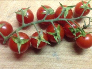 Tomaten-Focaccia