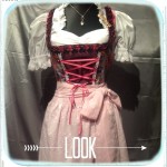 Dirndl selbst nähen II 2013